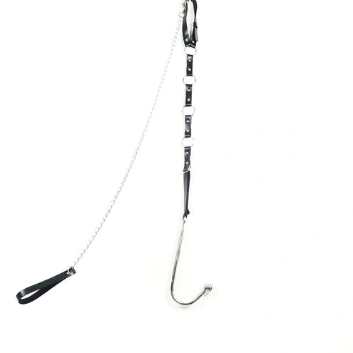 with 5853 Anal Hook EverydayUse Kinky Leash Collar and 1225